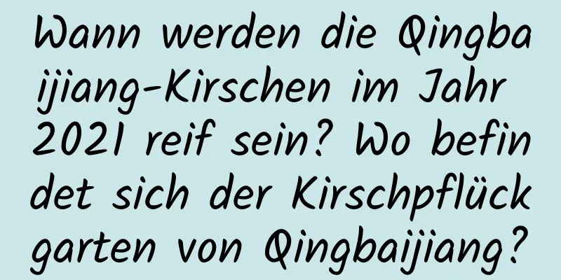 Wann werden die Qingbaijiang-Kirschen im Jahr 2021 reif sein? Wo befindet sich der Kirschpflückgarten von Qingbaijiang?