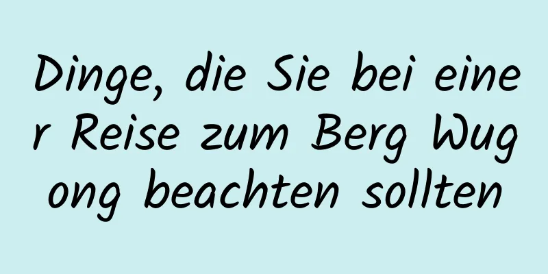 Dinge, die Sie bei einer Reise zum Berg Wugong beachten sollten