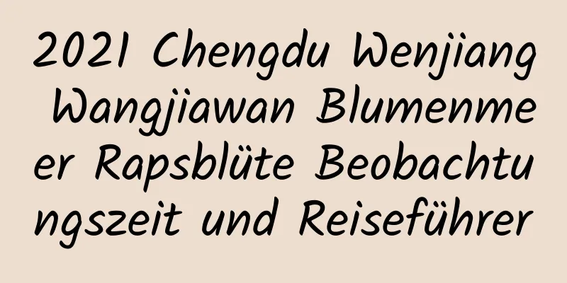 2021 Chengdu Wenjiang Wangjiawan Blumenmeer Rapsblüte Beobachtungszeit und Reiseführer