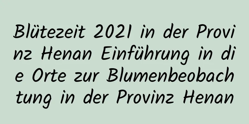 Blütezeit 2021 in der Provinz Henan Einführung in die Orte zur Blumenbeobachtung in der Provinz Henan