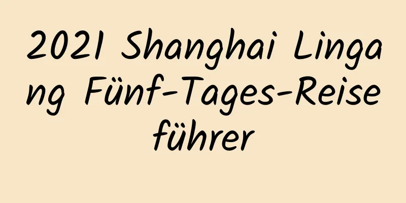 2021 Shanghai Lingang Fünf-Tages-Reiseführer