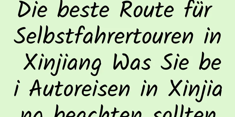 Die beste Route für Selbstfahrertouren in Xinjiang Was Sie bei Autoreisen in Xinjiang beachten sollten