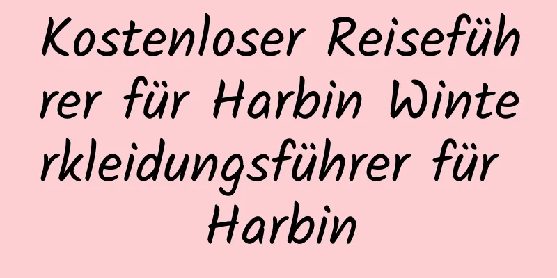 Kostenloser Reiseführer für Harbin Winterkleidungsführer für Harbin