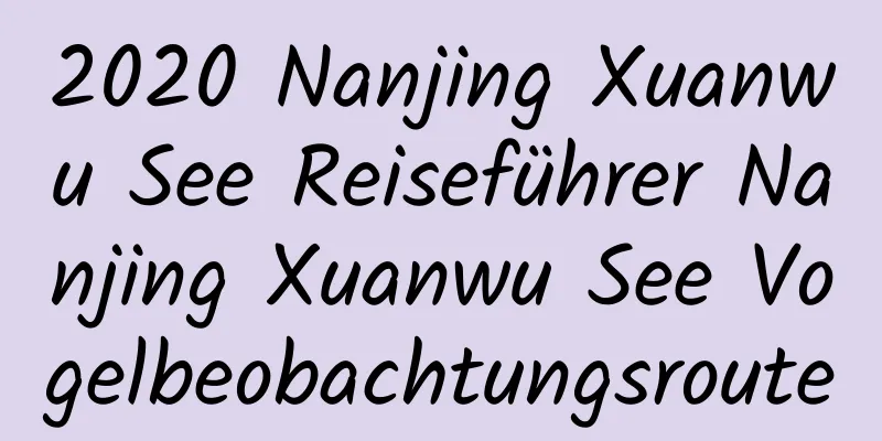 2020 Nanjing Xuanwu See Reiseführer Nanjing Xuanwu See Vogelbeobachtungsroute