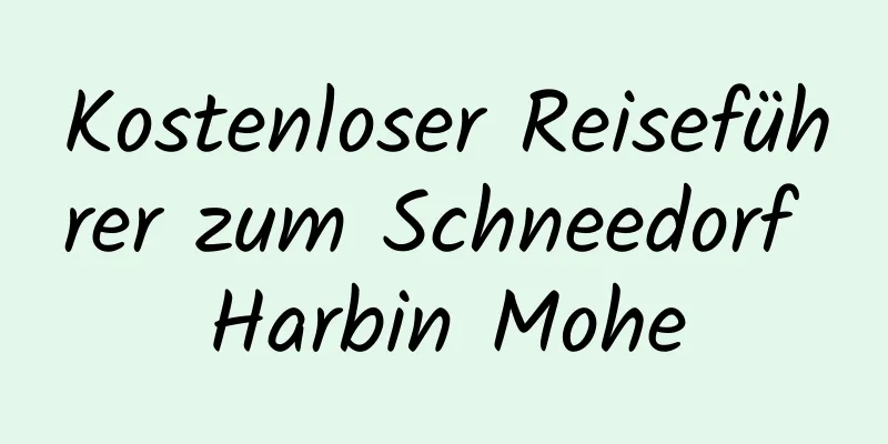 Kostenloser Reiseführer zum Schneedorf Harbin Mohe