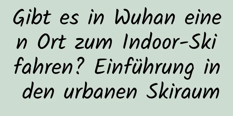 Gibt es in Wuhan einen Ort zum Indoor-Skifahren? Einführung in den urbanen Skiraum