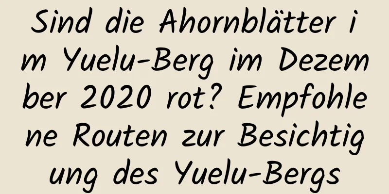 Sind die Ahornblätter im Yuelu-Berg im Dezember 2020 rot? Empfohlene Routen zur Besichtigung des Yuelu-Bergs