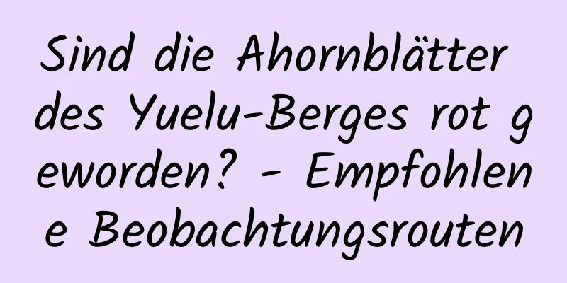 Sind die Ahornblätter des Yuelu-Berges rot geworden? - Empfohlene Beobachtungsrouten