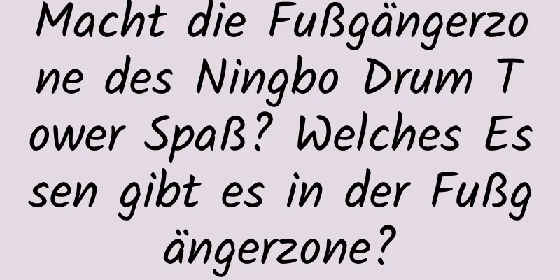 Macht die Fußgängerzone des Ningbo Drum Tower Spaß? Welches Essen gibt es in der Fußgängerzone?