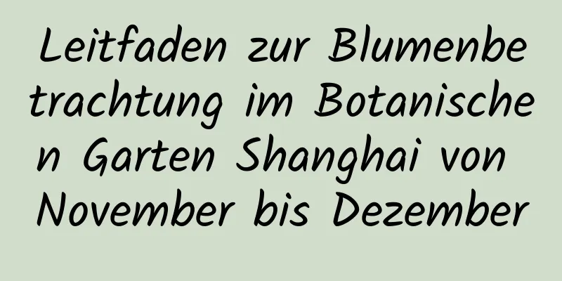 Leitfaden zur Blumenbetrachtung im Botanischen Garten Shanghai von November bis Dezember