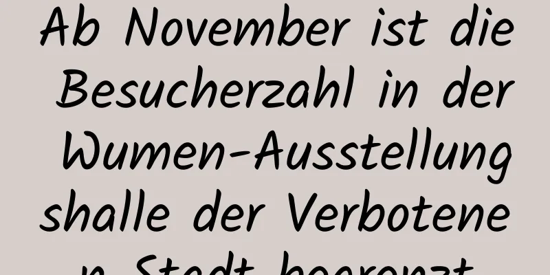 Ab November ist die Besucherzahl in der Wumen-Ausstellungshalle der Verbotenen Stadt begrenzt