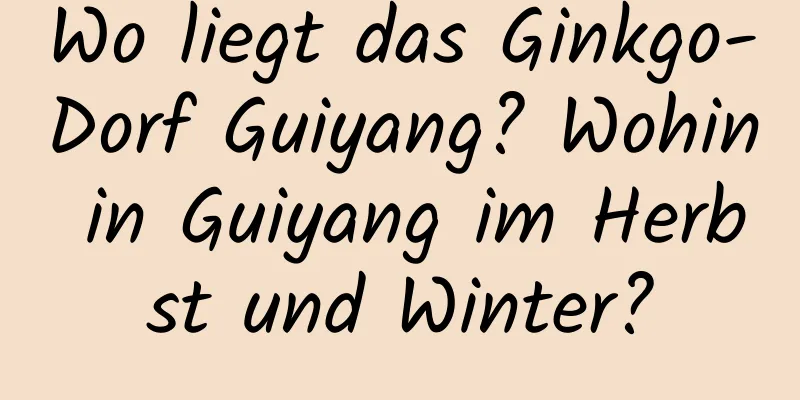 Wo liegt das Ginkgo-Dorf Guiyang? Wohin in Guiyang im Herbst und Winter?