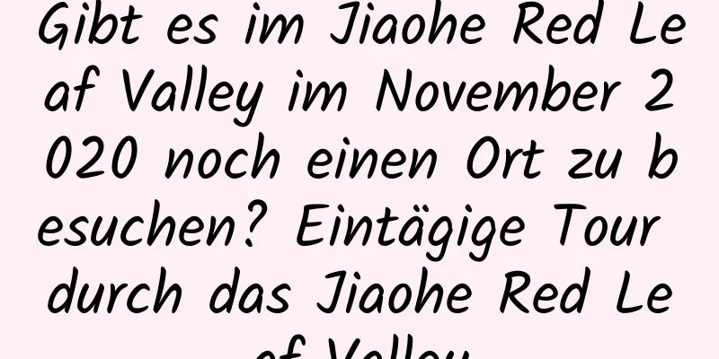 Gibt es im Jiaohe Red Leaf Valley im November 2020 noch einen Ort zu besuchen? Eintägige Tour durch das Jiaohe Red Leaf Valley