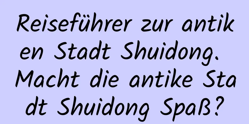 Reiseführer zur antiken Stadt Shuidong. Macht die antike Stadt Shuidong Spaß?