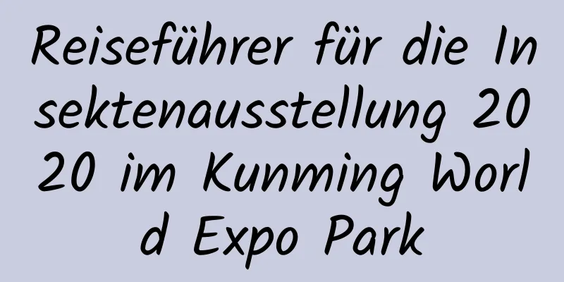 Reiseführer für die Insektenausstellung 2020 im Kunming World Expo Park