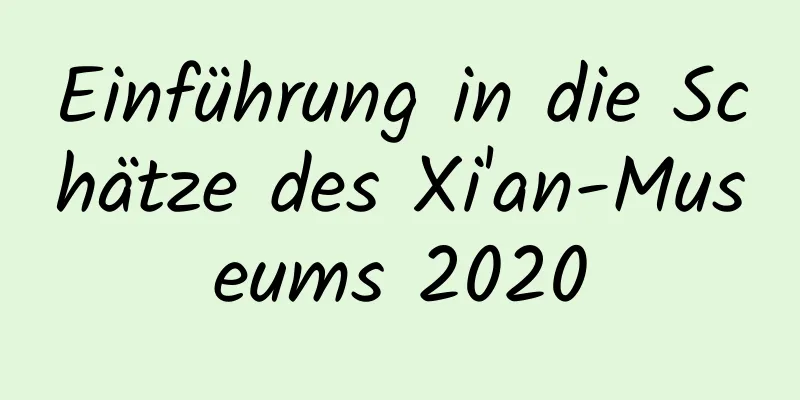 Einführung in die Schätze des Xi'an-Museums 2020