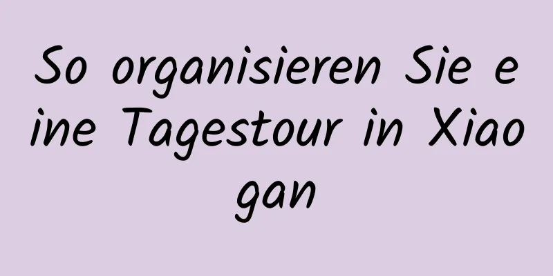 So organisieren Sie eine Tagestour in Xiaogan