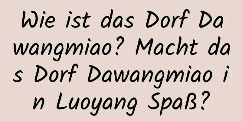 Wie ist das Dorf Dawangmiao? Macht das Dorf Dawangmiao in Luoyang Spaß?