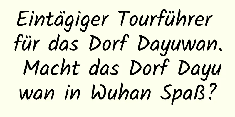 Eintägiger Tourführer für das Dorf Dayuwan. Macht das Dorf Dayuwan in Wuhan Spaß?