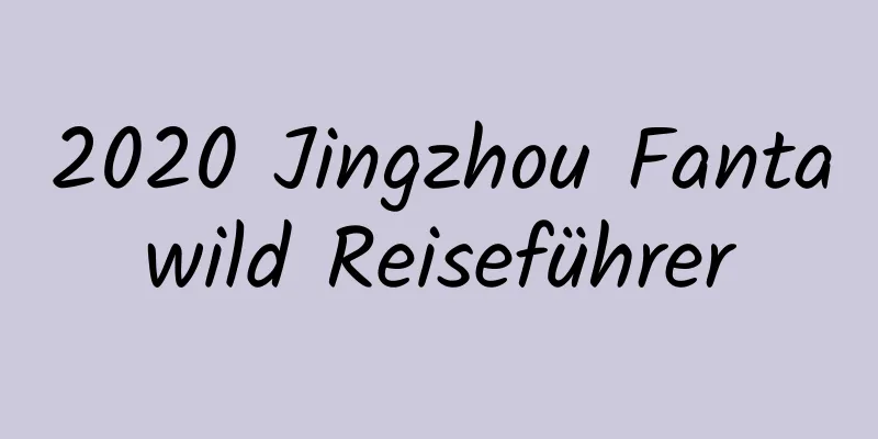 2020 Jingzhou Fantawild Reiseführer