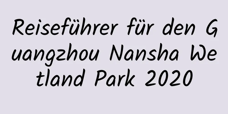 Reiseführer für den Guangzhou Nansha Wetland Park 2020