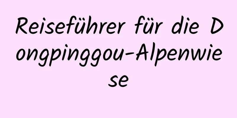 Reiseführer für die Dongpinggou-Alpenwiese