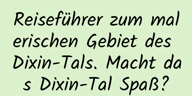 Reiseführer zum malerischen Gebiet des Dixin-Tals. Macht das Dixin-Tal Spaß?