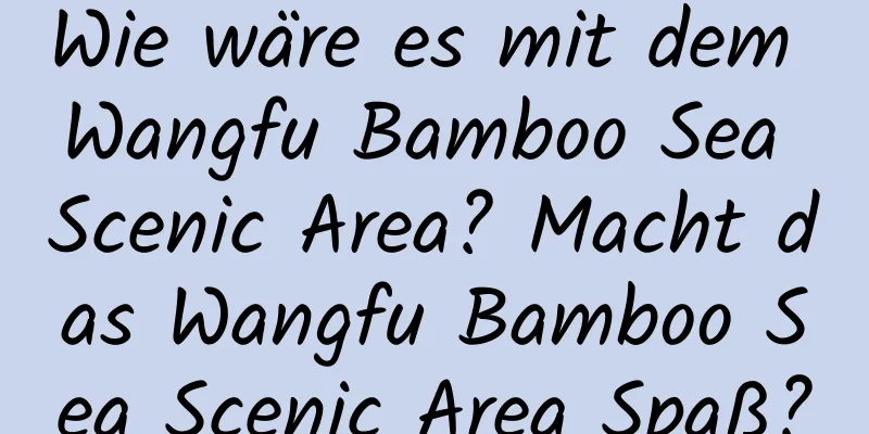 Wie wäre es mit dem Wangfu Bamboo Sea Scenic Area? Macht das Wangfu Bamboo Sea Scenic Area Spaß?