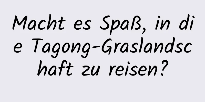 Macht es Spaß, in die Tagong-Graslandschaft zu reisen?