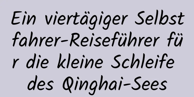 Ein viertägiger Selbstfahrer-Reiseführer für die kleine Schleife des Qinghai-Sees