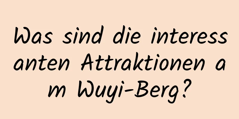 Was sind die interessanten Attraktionen am Wuyi-Berg?