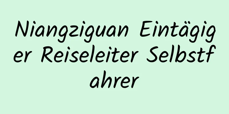 Niangziguan Eintägiger Reiseleiter Selbstfahrer