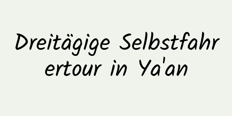 Dreitägige Selbstfahrertour in Ya'an