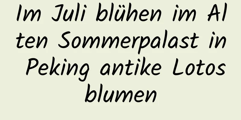 Im Juli blühen im Alten Sommerpalast in Peking antike Lotosblumen