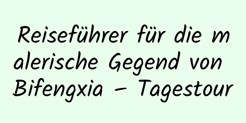 Reiseführer für die malerische Gegend von Bifengxia – Tagestour