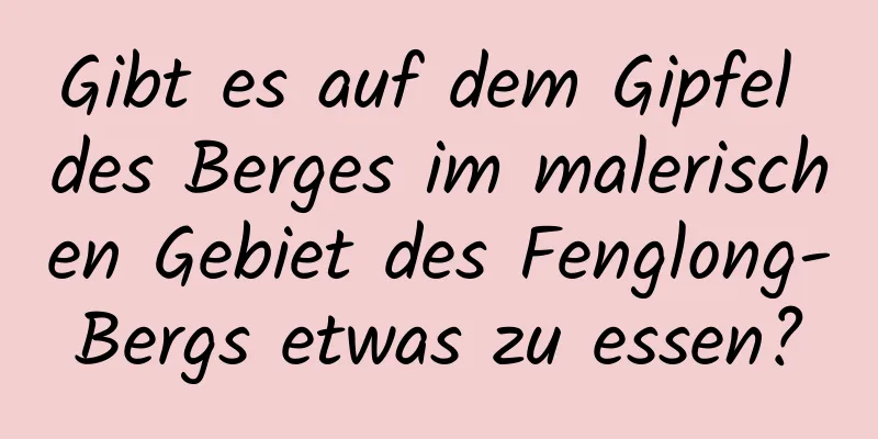 Gibt es auf dem Gipfel des Berges im malerischen Gebiet des Fenglong-Bergs etwas zu essen?