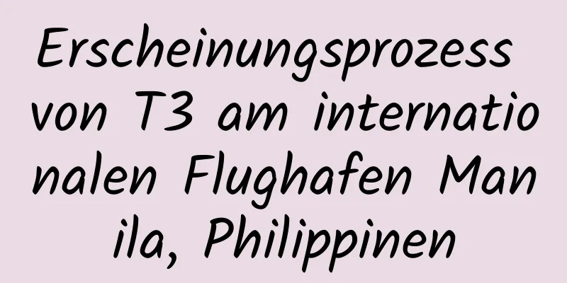 Erscheinungsprozess von T3 am internationalen Flughafen Manila, Philippinen