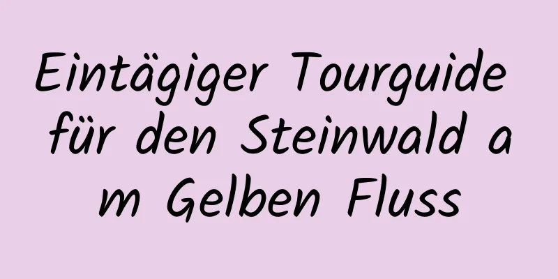 Eintägiger Tourguide für den Steinwald am Gelben Fluss