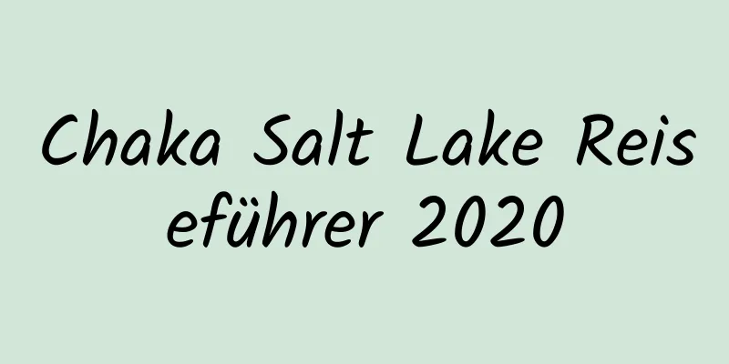 Chaka Salt Lake Reiseführer 2020