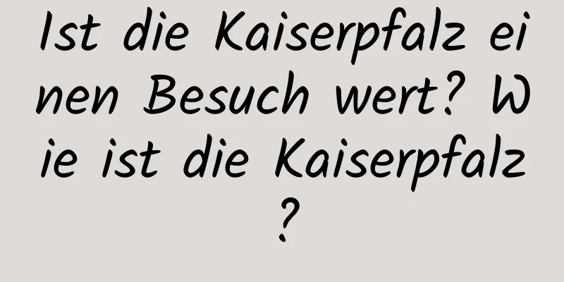 Ist die Kaiserpfalz einen Besuch wert? Wie ist die Kaiserpfalz?