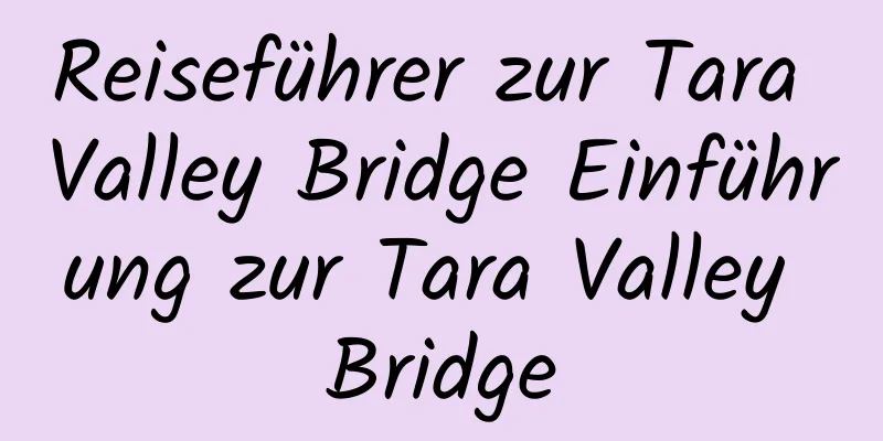 Reiseführer zur Tara Valley Bridge Einführung zur Tara Valley Bridge