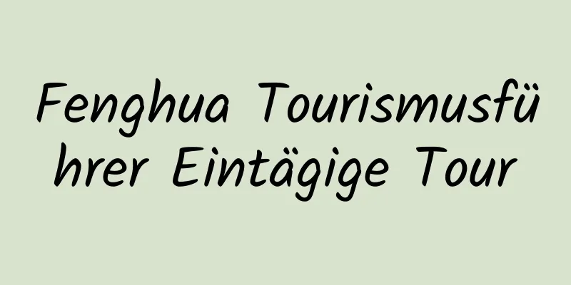 Fenghua Tourismusführer Eintägige Tour