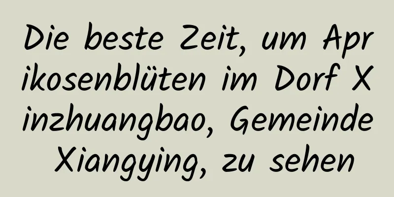 Die beste Zeit, um Aprikosenblüten im Dorf Xinzhuangbao, Gemeinde Xiangying, zu sehen