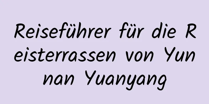 Reiseführer für die Reisterrassen von Yunnan Yuanyang