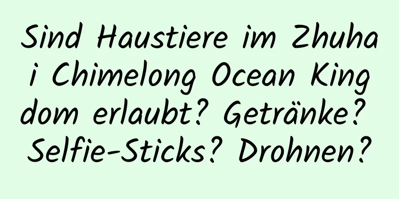 Sind Haustiere im Zhuhai Chimelong Ocean Kingdom erlaubt? Getränke? Selfie-Sticks? Drohnen?