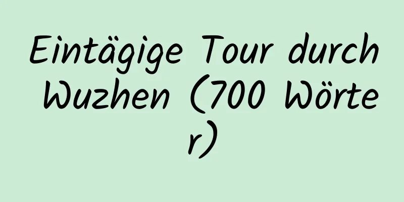 Eintägige Tour durch Wuzhen (700 Wörter)