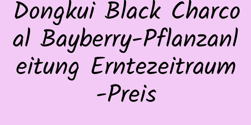 Dongkui Black Charcoal Bayberry-Pflanzanleitung Erntezeitraum-Preis