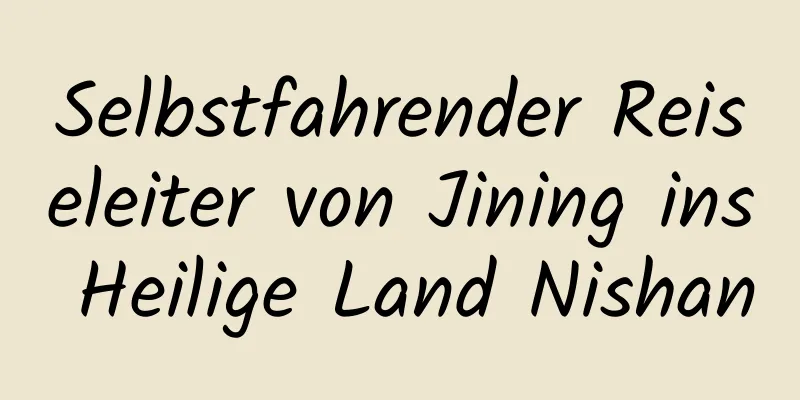 Selbstfahrender Reiseleiter von Jining ins Heilige Land Nishan