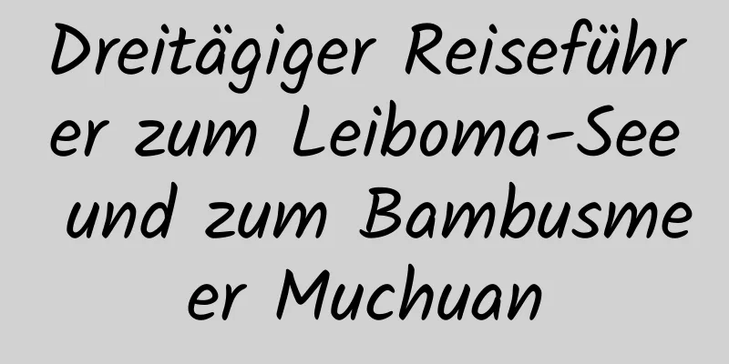 Dreitägiger Reiseführer zum Leiboma-See und zum Bambusmeer Muchuan