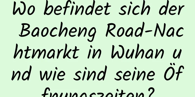 Wo befindet sich der Baocheng Road-Nachtmarkt in Wuhan und wie sind seine Öffnungszeiten?